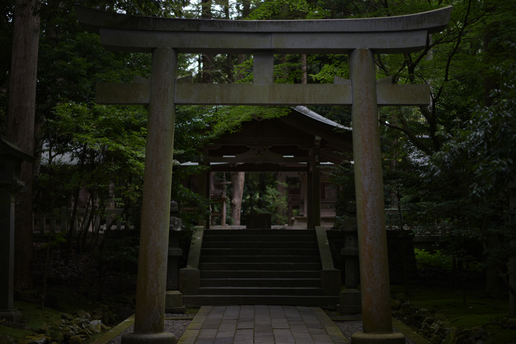 弥彦神社（摂社・末社への参道）
