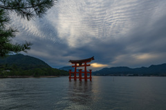 嚴島神社（大鳥居）２
