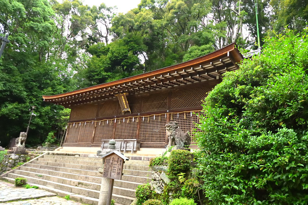 宇治上神社・本殿