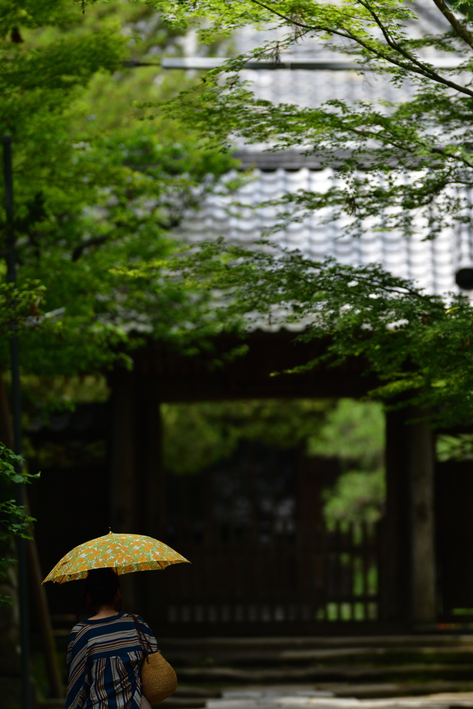 寿福金剛禅寺