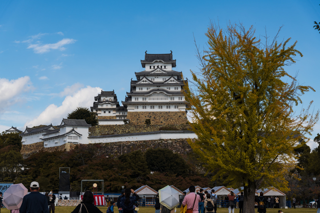 姫路城2025秋(2)