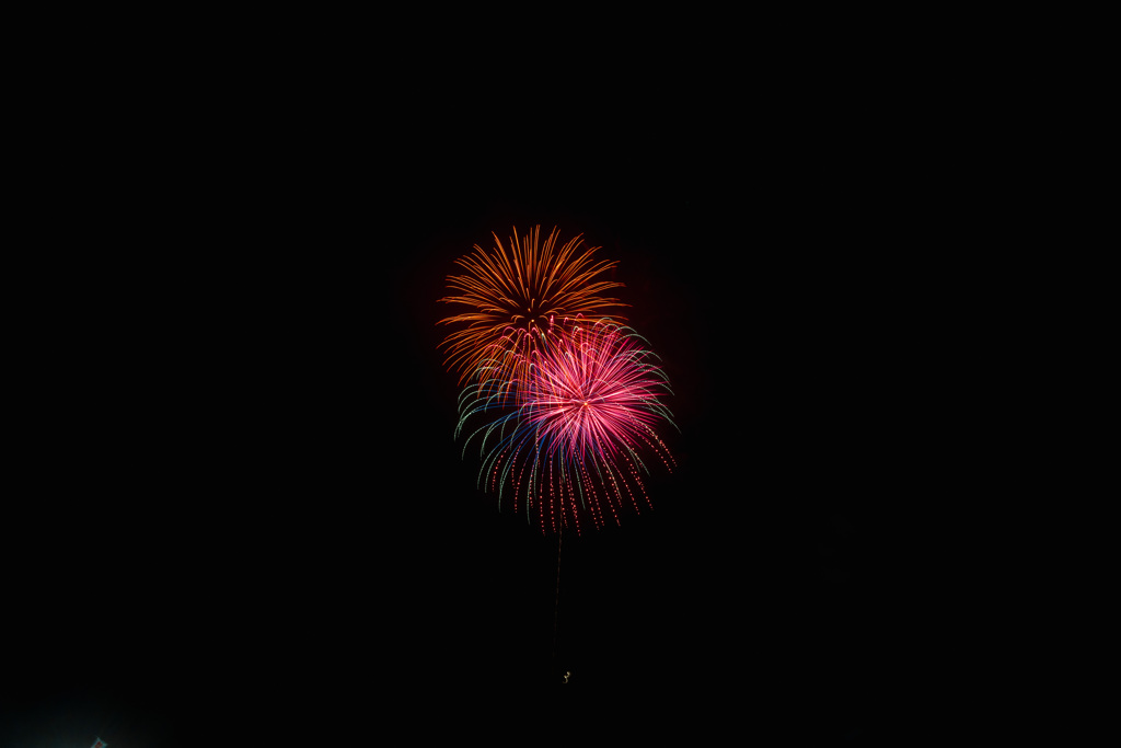 夏の夜に咲く花２９
