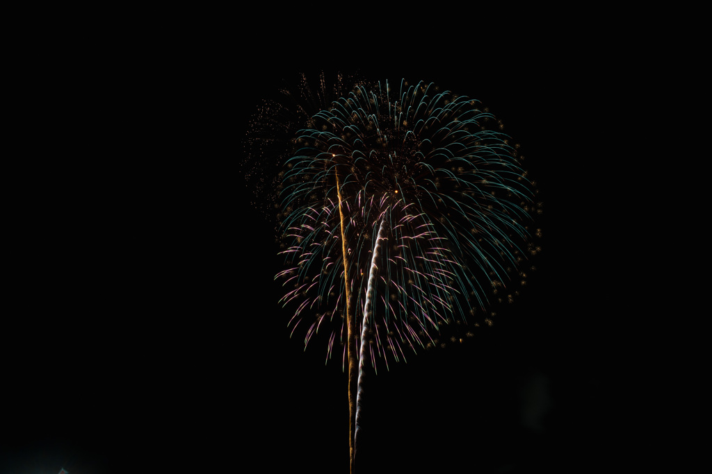 夏の夜に咲く花３５