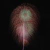 夏の夜に咲く花７６
