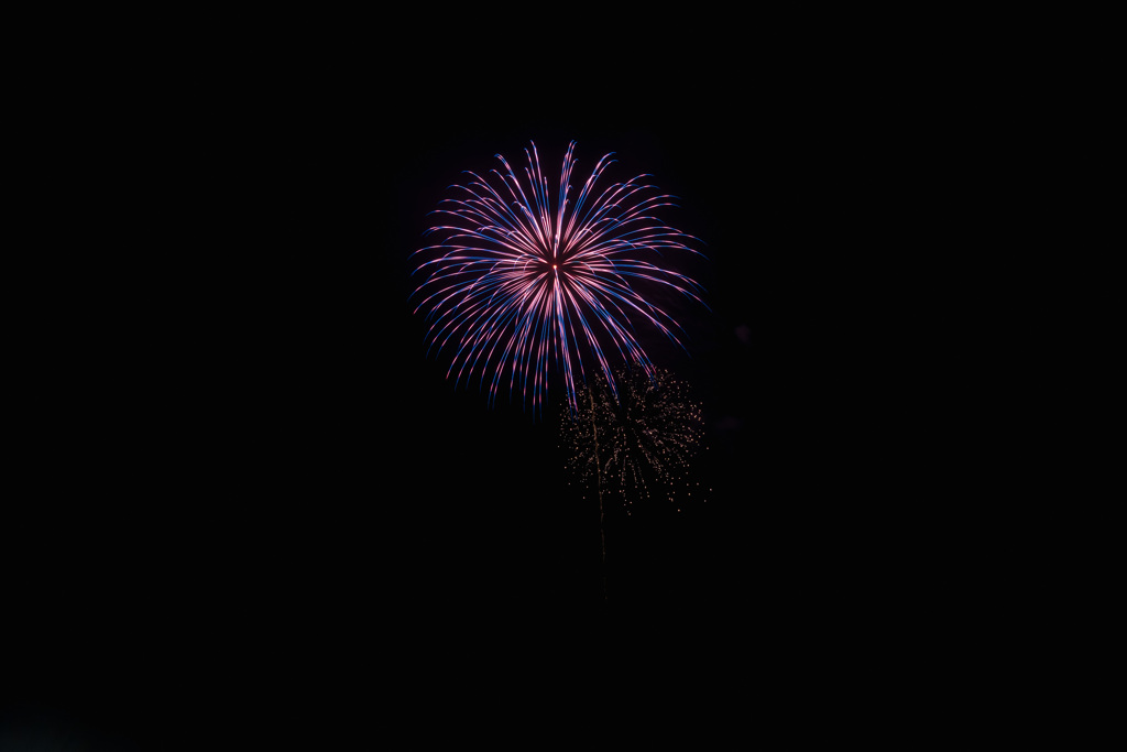 夏の夜に咲く花２５