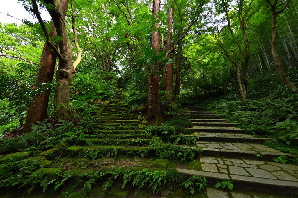 瑞泉寺の階段（鎌倉）