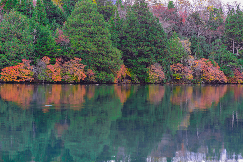 秋の配色（湯の湖）３