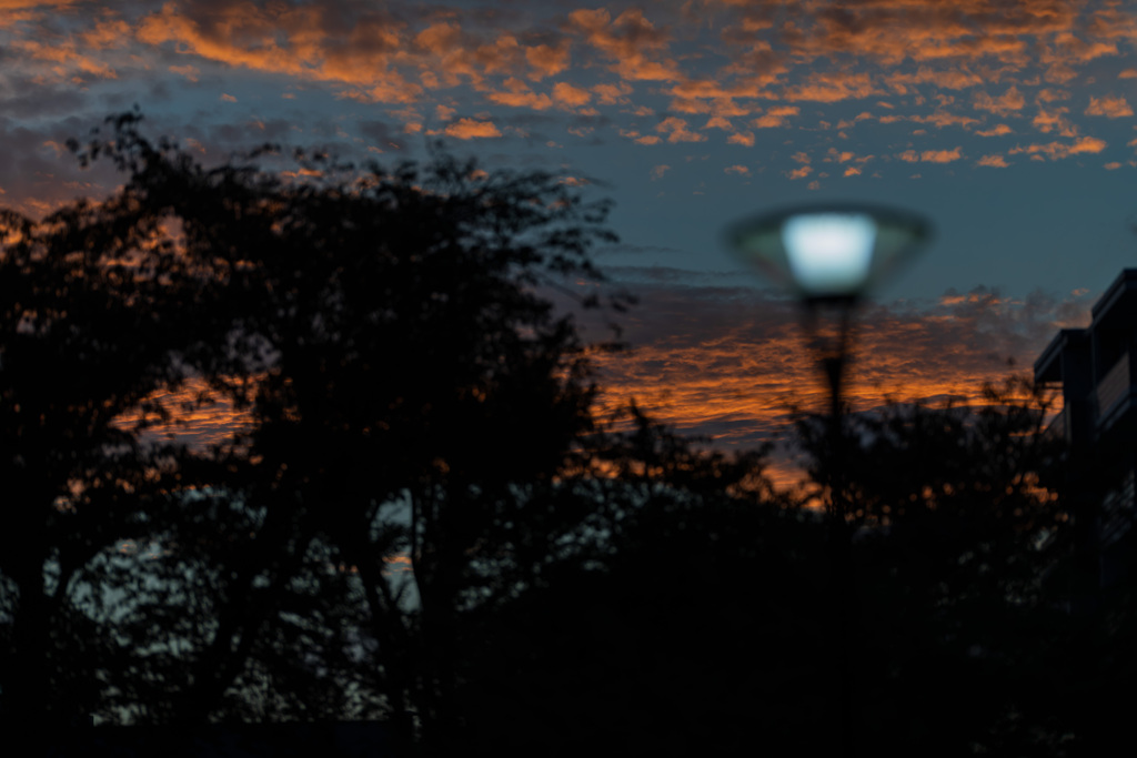 晩夏夕景４