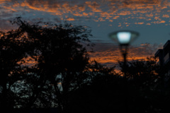 晩夏夕景４