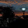 晩夏夕景４