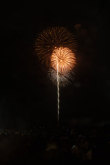 夏の夜に咲く花６２