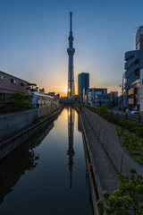 東京スカイツリー越しの夕日