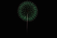 夏の夜に咲く花５