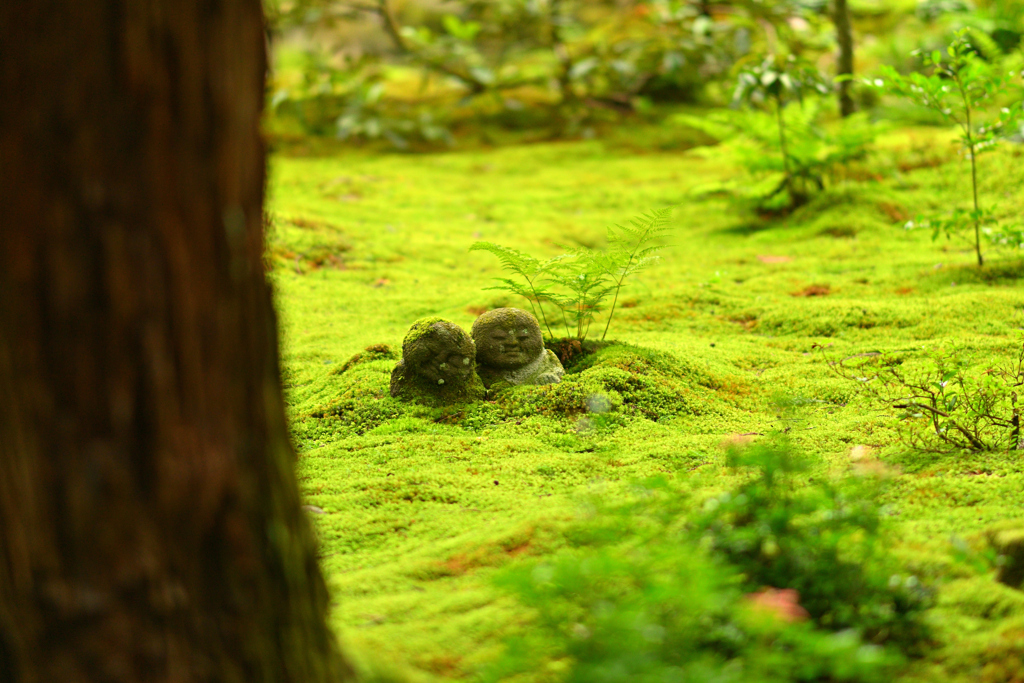 三千院