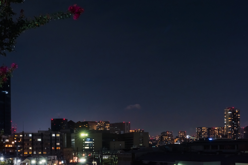 十六夜に照らされて２