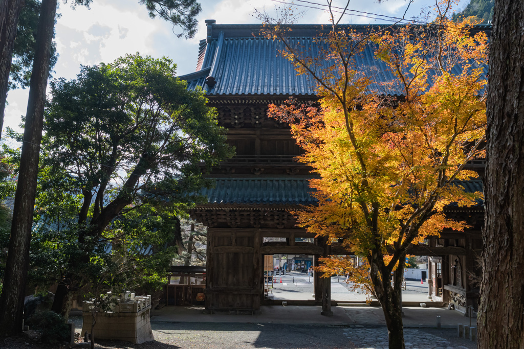 身延山久遠寺（三門）