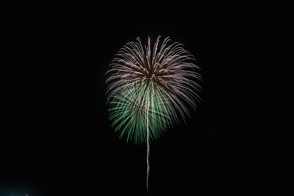 夏の夜に咲く花２０