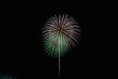 夏の夜に咲く花２０