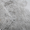上北地方雪景色-4