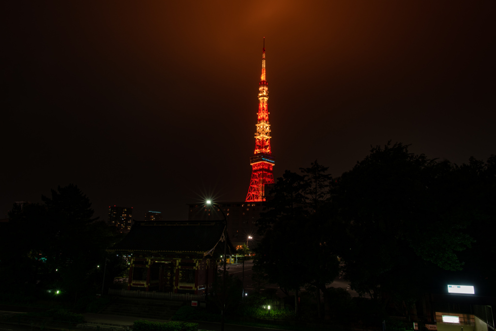 東京タワーと有章院霊廟