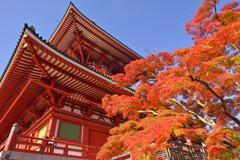 成田山新勝寺（奥の院）３