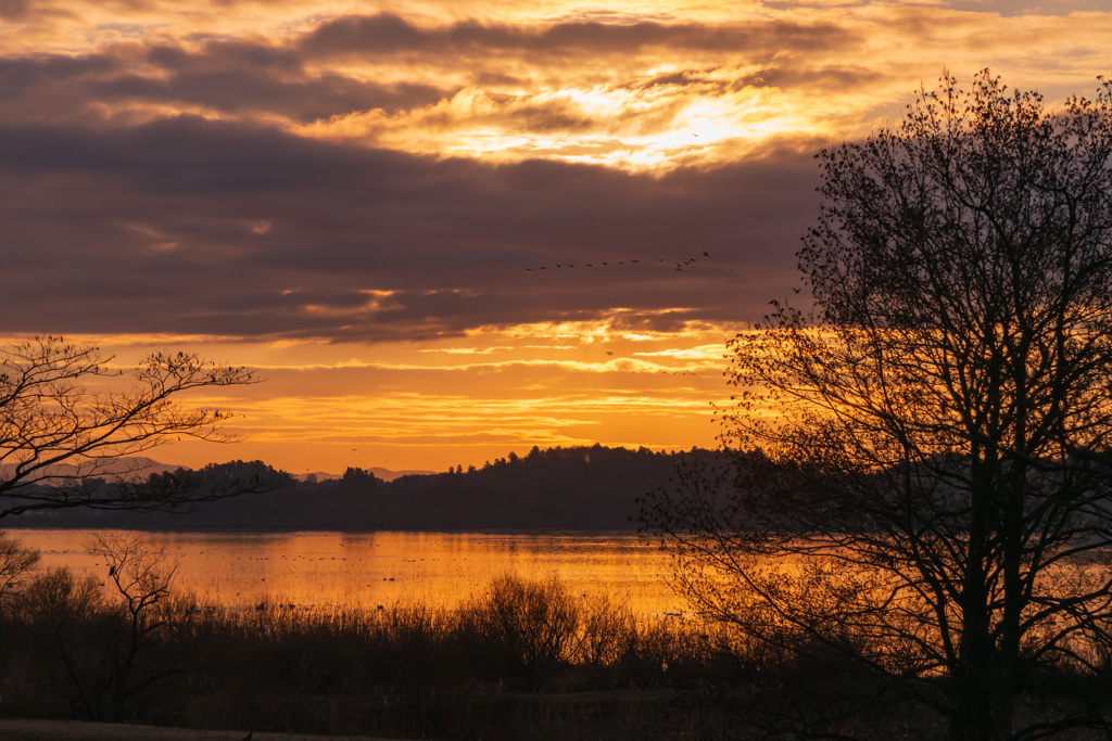伊豆沼朝景３（2025年師走）