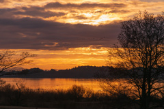 伊豆沼朝景３（2025年師走）