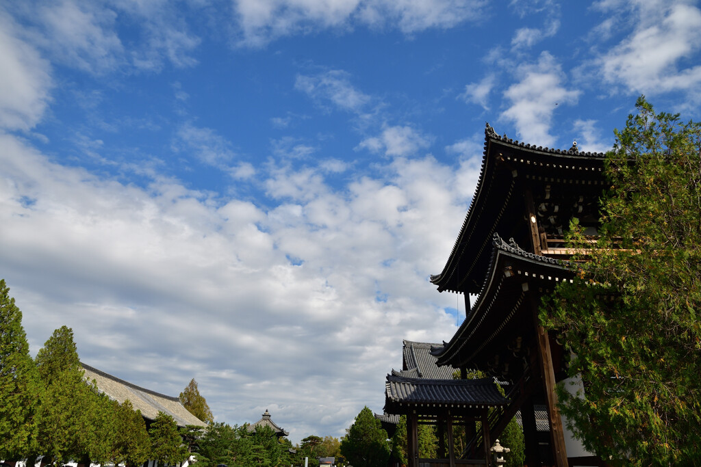 東福寺の空