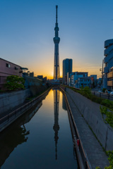 東京スカイツリー越しの夕焼け
