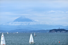 江の富士２