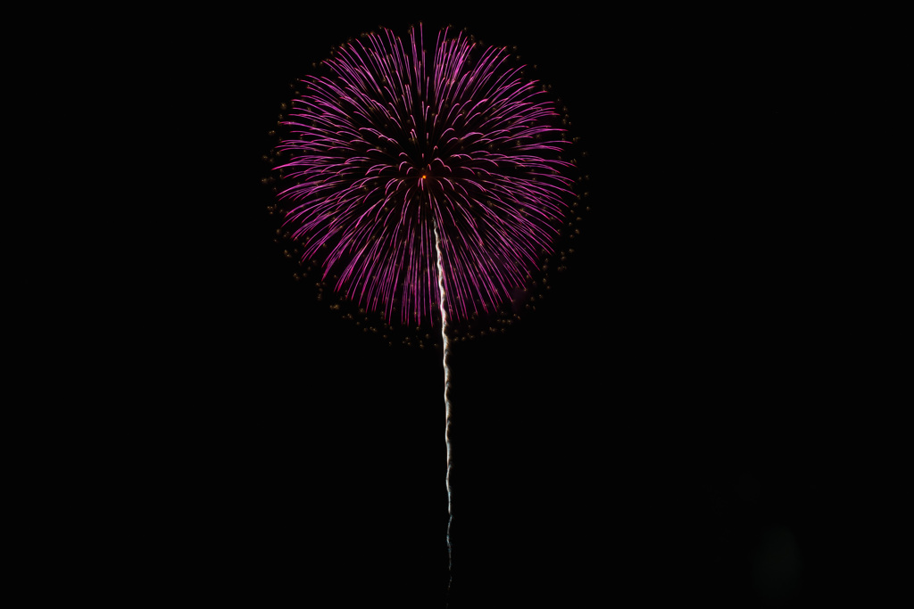 夏の夜に咲く花４５