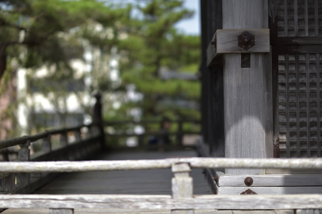 瑞巌寺五大堂２