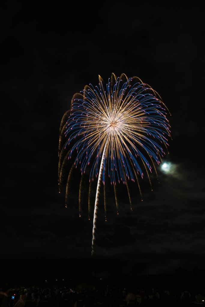 夏の夜に咲く花６６