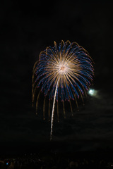 夏の夜に咲く花６６