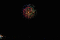 夏の夜に咲く花２