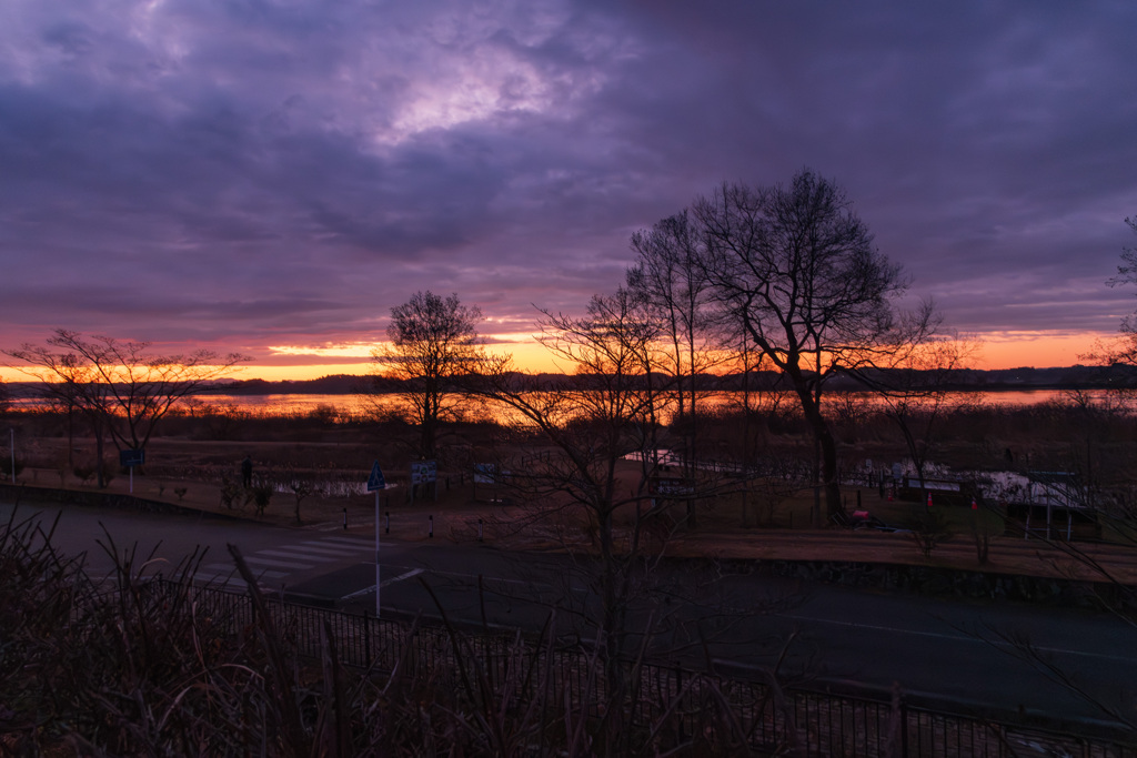 伊豆沼朝景（2025師走）