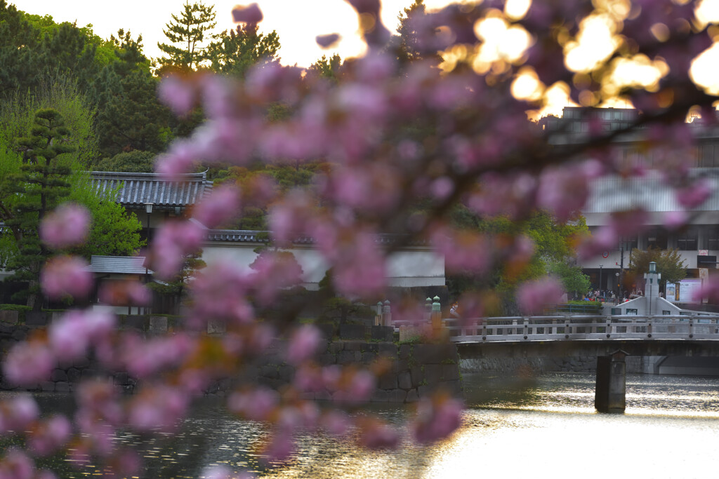 皇居（平川門）の思い出