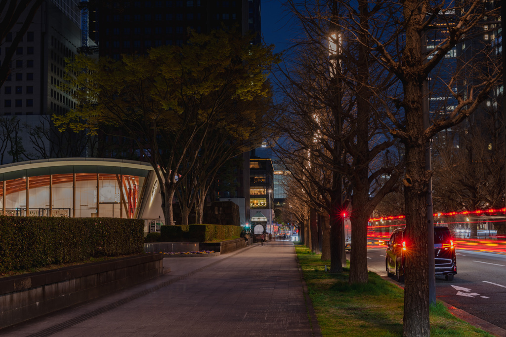 皇居前夜景