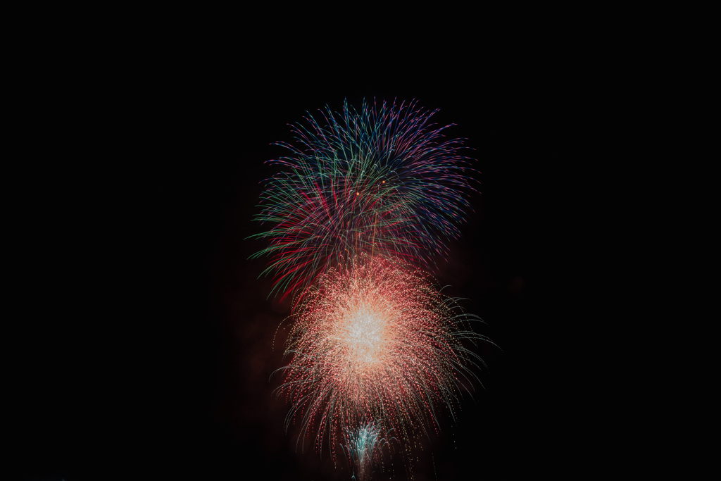 夏の夜に咲く花３９