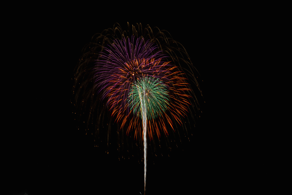 夏の夜に咲く花４８