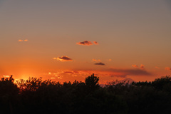 夢の国のマジックアワー３