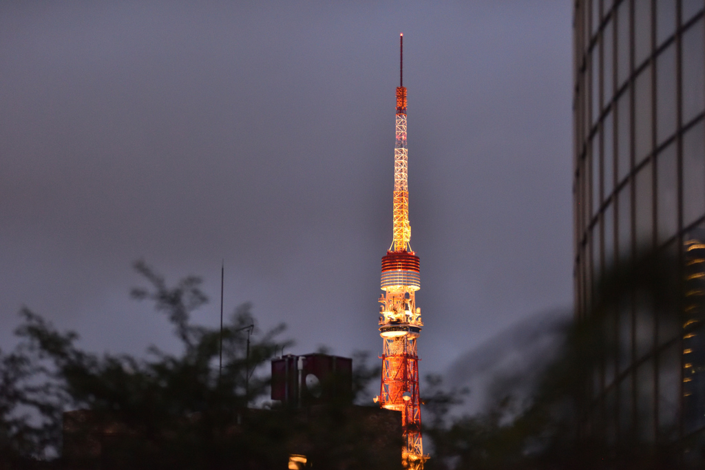 ついつい「パシャリ」