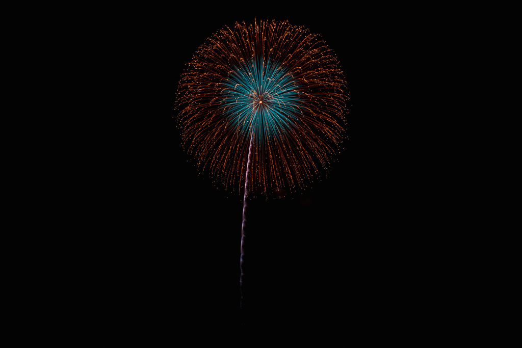 夏の夜に咲く花１０