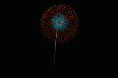 夏の夜に咲く花１０