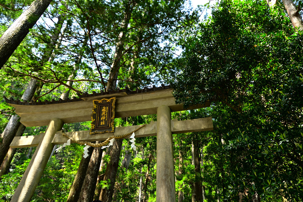 飛瀧神社鳥居