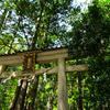 飛瀧神社鳥居