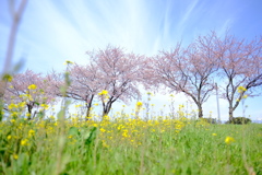 560CBA0A-32D1-43A5-9F04-96BFF740A107