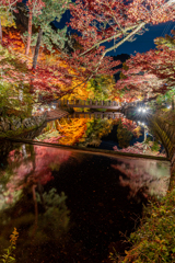 岩屋道 紅葉