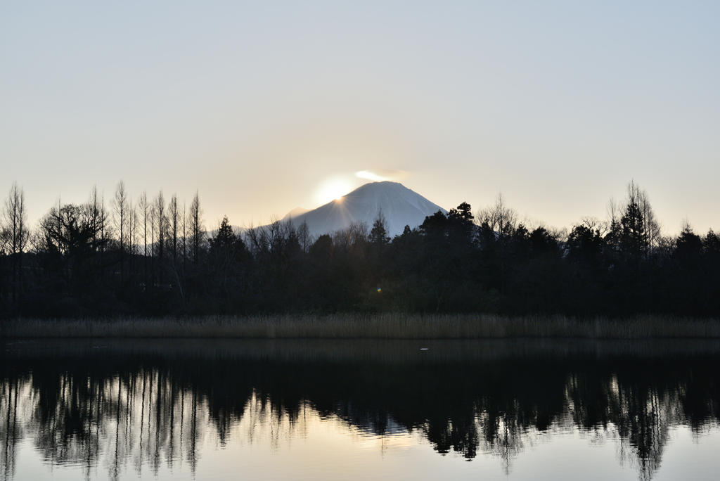 伯耆富士の朝日