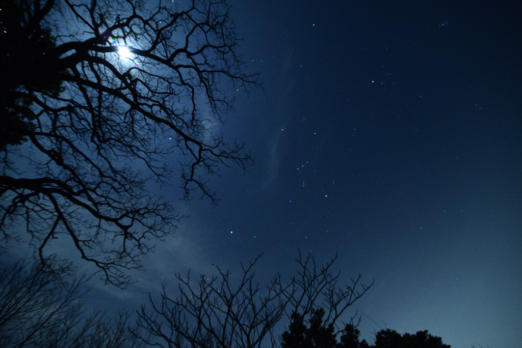 星空に挑戦　オリオン座